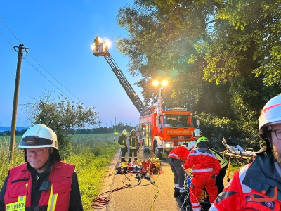 Blaulichtfamilie