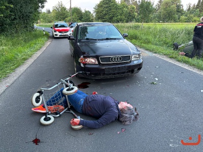 Blaulichtfamilie